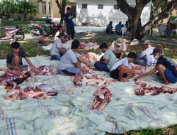 MARINIR Qurban 3 Ekor Sapi 6 Ekor Kambing