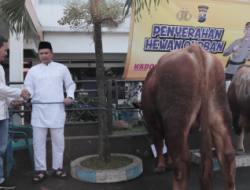 Kombes Pol Buher, Berbagi Berkah Hewan Kurban untuk Staf Polresta Malang Kota