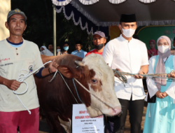 Polres Malang Distribusikan Sebanyak 800 Paket Daging Kurban