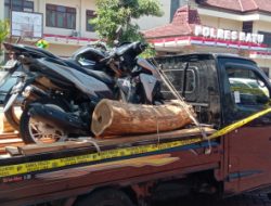 Sikat Kayu Sonokeling Milik Perum Perhutani, Dua Pemuda Asal Kasembon Masuk Bui