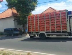 Peternak Ayam Pedaging Lokal Usir Pemasok Dari Luar Madura