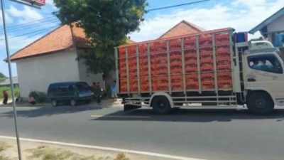 Peternak Ayam Pedaging Lokal Usir Pemasok Dari Luar Madura