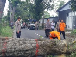 Selama 2022 di Kab Blitar Terjadi 163 Bencana Alam