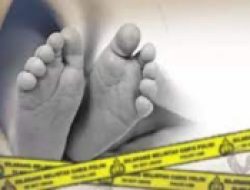 Kasus Kematian Bayi Prematur di Pemkab Blitar Tinggi