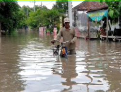 Banjir di Mojosari Mojokerto Belum Surut, Aktivitas Warga Lumpuh