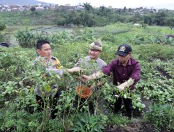 Pemkot Batu Geber Program Pekarangan Pangan Lestari