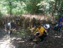 Jaga Kelestarian Lingkungan Polisi Kab Malang Tanam Ratusan Bibit Pohon Mangrove di Pantai Ngliyep