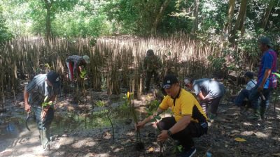 Jaga Kelestarian Lingkungan Polisi Kab Malang Tanam Ratusan Bibit Pohon Mangrove di Pantai Ngliyep