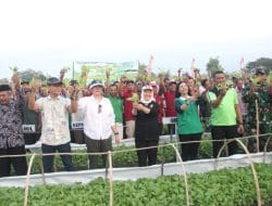 Bupati Bojonegoro Serahkan Bibit Tembakau kepada Petani, Berharap Bisa Panen Melimpah