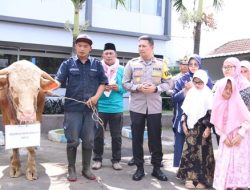 Kombes Pol Buher Gandeng Penyandang Disabilitas Kurban 1 Ekor Sapi
