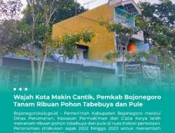 Wajah Kota Makin Cantik, Pemkab Bojonegoro Tanam Ribuan Pohon Tabebuya dan Pule