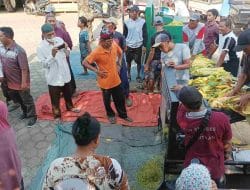 Adu Cepat, Petani Tembakau Lomba Rajang Pakai Mesin