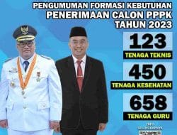 Pemerintah Kabupaten Probolinggo Membuka 1.231 Lowongan PPPK 2023, Formasi Guru Lebih Banyak
