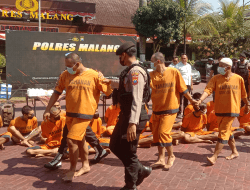 Operasi Tumpas Narkoba Semeru 2023, Polres Malang Amankan 10 Pohon Ganja Berserta Tersangka