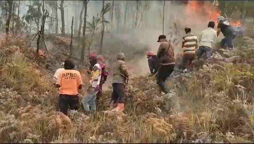 Relawan Pemadam Api Bromo, Hampir Mati Dikejar Api_11zon