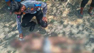 Modus COD, Diduga Maling Motor Tewas Dimassa