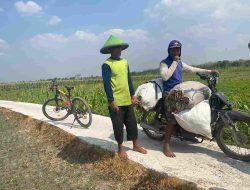Pemkab Bojonegoro Bangun JUT, Akses Petani Desa Kunci Makin Mudah