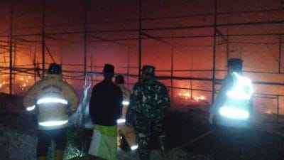 Kandang Ayam di Probolinggo Terbakar, 25 Ribu Ekor Ayam Turut Ludes