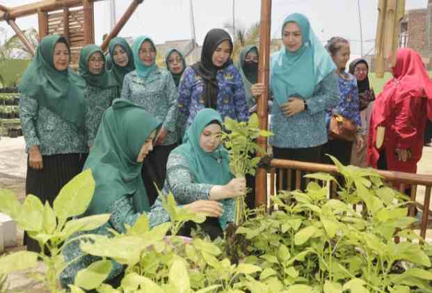 Aminah Hadi Inginkan Program Aku Hatinya PKK Bermanfaat