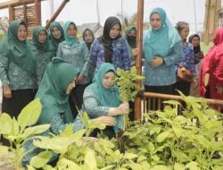 Aminah Hadi Inginkan Program Aku Hatinya PKK Bermanfaat