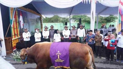 Kontes dan Pameran Ternak 2023 Sukses Digelar, Disnakkan Bojonegoro Umumkan Pemenang