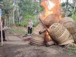 Kembali Tempat Sabung Ayam Digrebek Polisi Resor Malang
