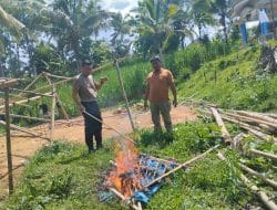 Berkat Medsos, Polisi di Malang Gerebek Arena Judi Sabung Ayam