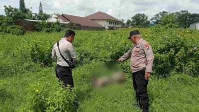 Polisi Ungkap Identitas Mayat Wanita di Lahan Kosong Singosari Malang
