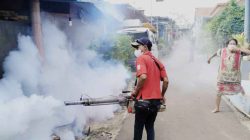 Awas! Satu Orang Diduga Terserang Infeksi Chikungunya di Kabupaten Malang