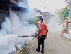 Awas! Satu Orang Diduga Terserang Infeksi Chikungunya di Kabupaten Malang