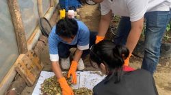 Mahasiswa PMM UMM Olah Sampah Limbah Rumah Tangga Menjadi Kompos