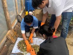 Mahasiswa PMM UMM Olah Sampah Limbah Rumah Tangga Menjadi Kompos