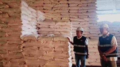 Alokasi Pupuk Subsidi di Kabupaten Malang Menurun, Petani Mengeluh