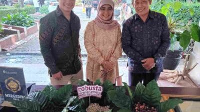 Kelompok Tani di Tirtoyudo Ekspor Kopi Ke Belanda dan Jepang