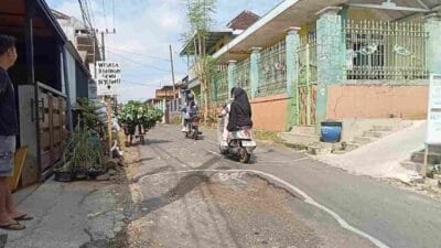 Bentuk Protes, Jalan Karangwidoro Ditanami Pohon Pisang, Langsung Direspon Oleh Camat