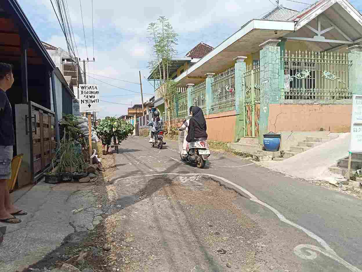 Bentuk Protes, Jalan Karangwidoro Ditanami Pohon Pisang, Langsung Direspon Oleh Camat