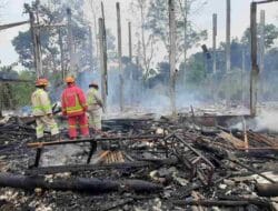 Kandang Ayam di Wajak Terbakar, 8 Ribu Ayam Terpanggang, Rugi Rp350 Juta