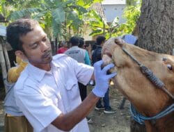 Antisipasi Penyakit Hewan, DKPP Kota Kediri Sidak Hewan Kurban