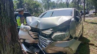 Kurang Hati-hati, Toyota Avanza Tabrak Pohon di Pakis Malang
