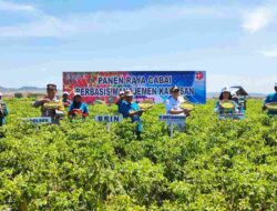 Kolaborasi dengan BRIN, Pemkab Bojonegoro Kembangkan Budi Daya Cabai Berbasis Kawasan di Sambongrejo