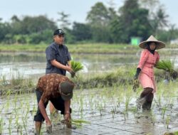Irigasi Perpompaan Disebut Berhasil Dapat Cegah Gagal Tanam Saat Kemarau