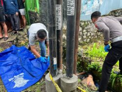 Pelaku Tabrak Lari di Blitar, Akhirnya Ditangkap