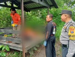 Polisi Selidiki Mayat Perempuan di Gubuk Persawahan di Kab Malang