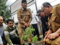 Tekan Stunting, Bupati Malang Launching MIRACLE Salurkan 26.000 Bibit Pohon Kelor