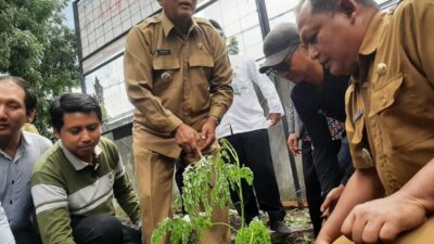 FT. Proses penanaman pohon kelor. (MemoX/nif).