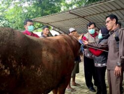 Kasus PMK Merebak, Komisi II DPRD Kota Blitar Jamin Pasar Dimoro Tetap Buka