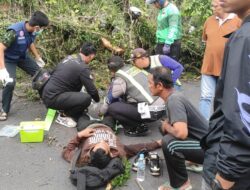 Pohon Tumbang di Singosari Malang Makan Lima Korban