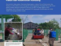 Disnakkan Bojonegoro Tanggulangi PMK, Peternak Sapi Diminta Perhatikan Pakan dan Kebersihan Kandang