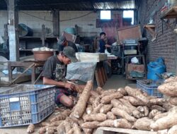Musim Hujan Menjadi Dampak Buruk Bagi Pengusaha Kerupuk Singkong di Kabupaten Malang