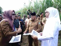 Sekolah Rakyat Di Kabupaten Malang Mulai Dibangun Juni 2025